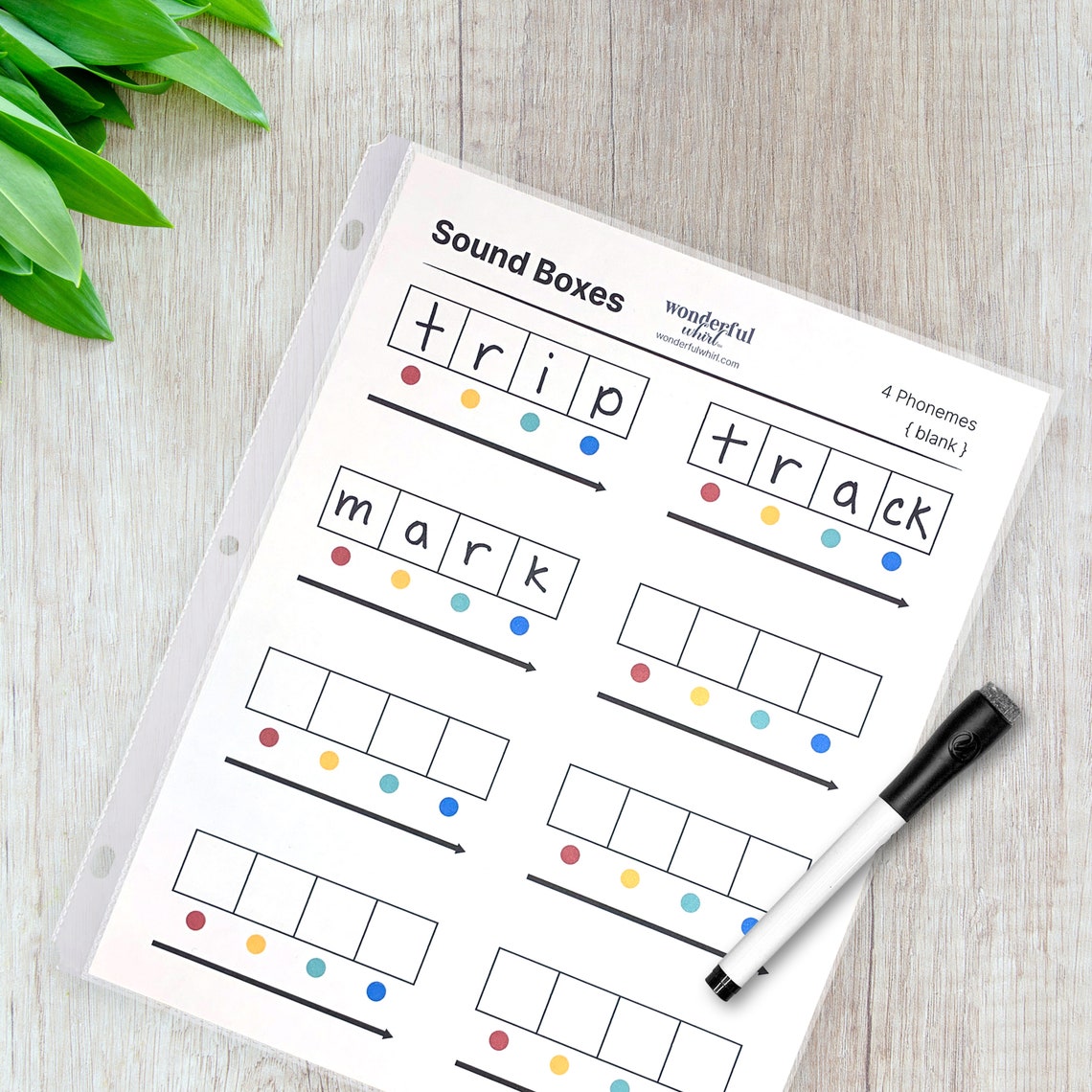 Printable Sound Boxes Phonics and Phonemic Awareness Early Reading ...
