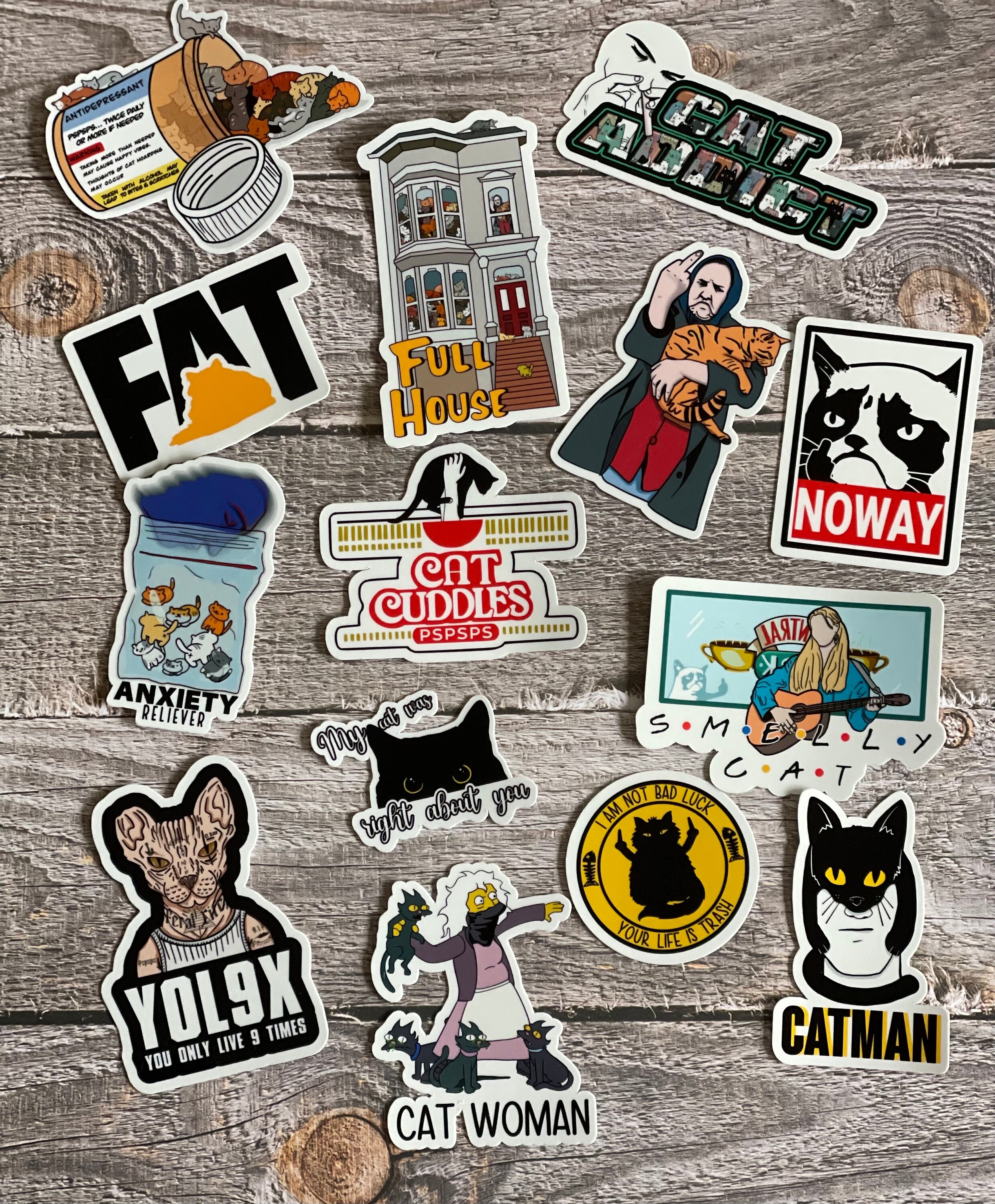 Cat STICKER BUNDLE (14 Sticker Pack) - Etsy