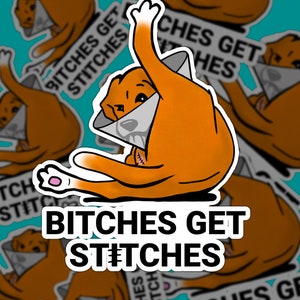 May include: A sticker featuring a cartoon dog wearing a cone, with a stitched wound. The dog is orange with white paws and a raised paw. The text "BITCHES GET STITCHES" is displayed in bold, white letters.