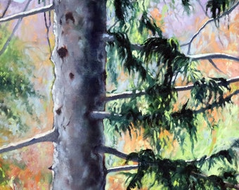 Birds Eye View Spruce, 16 X 20", Mountain, Landscape, Giclee Print, Housewarming, Gift, Oil Painting, Plein Air Painting, Oil Painting