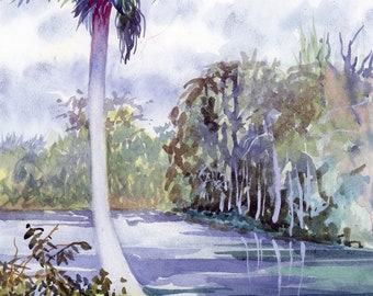 Silver Spring, Early Spring Florida, Art Print, 16 X 20", Limited Edition, Landscape Watercolor Painting of A Palm and Lake, Ocala, Florida