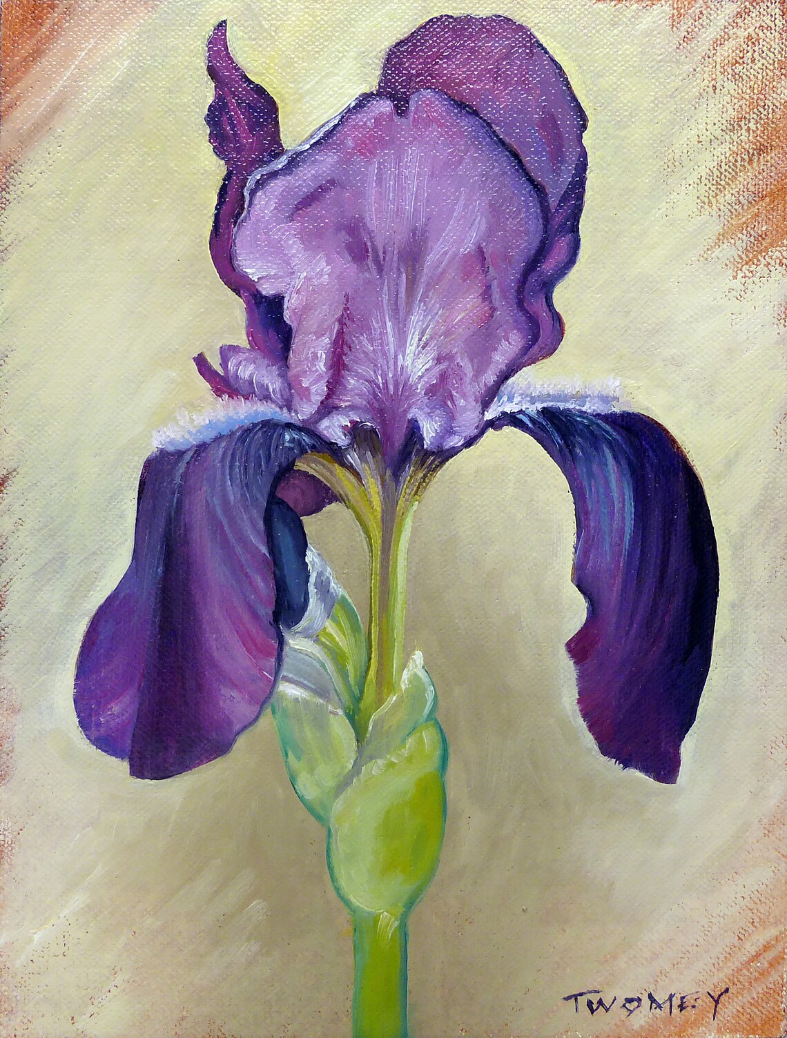 Iris Flowers Portrait 16 X 20 Botanical Blossoms - Etsy