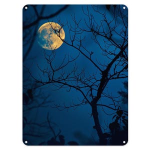 Orange Mond Nacht Himmel Metall Blechschild Poster Wand Kunst Plaque für Mann Höhle Garten Schuppen Bar Schlafzimmer Haus Küche Tor Dekor Geschenk