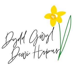Puede incluir: Fondo blanco con el texto "Dydd Gwyl Dewi Hapus" en escritura negra, acompañado de un narciso amarillo con tallo y hoja verdes. El narciso está situado a la derecha del texto.