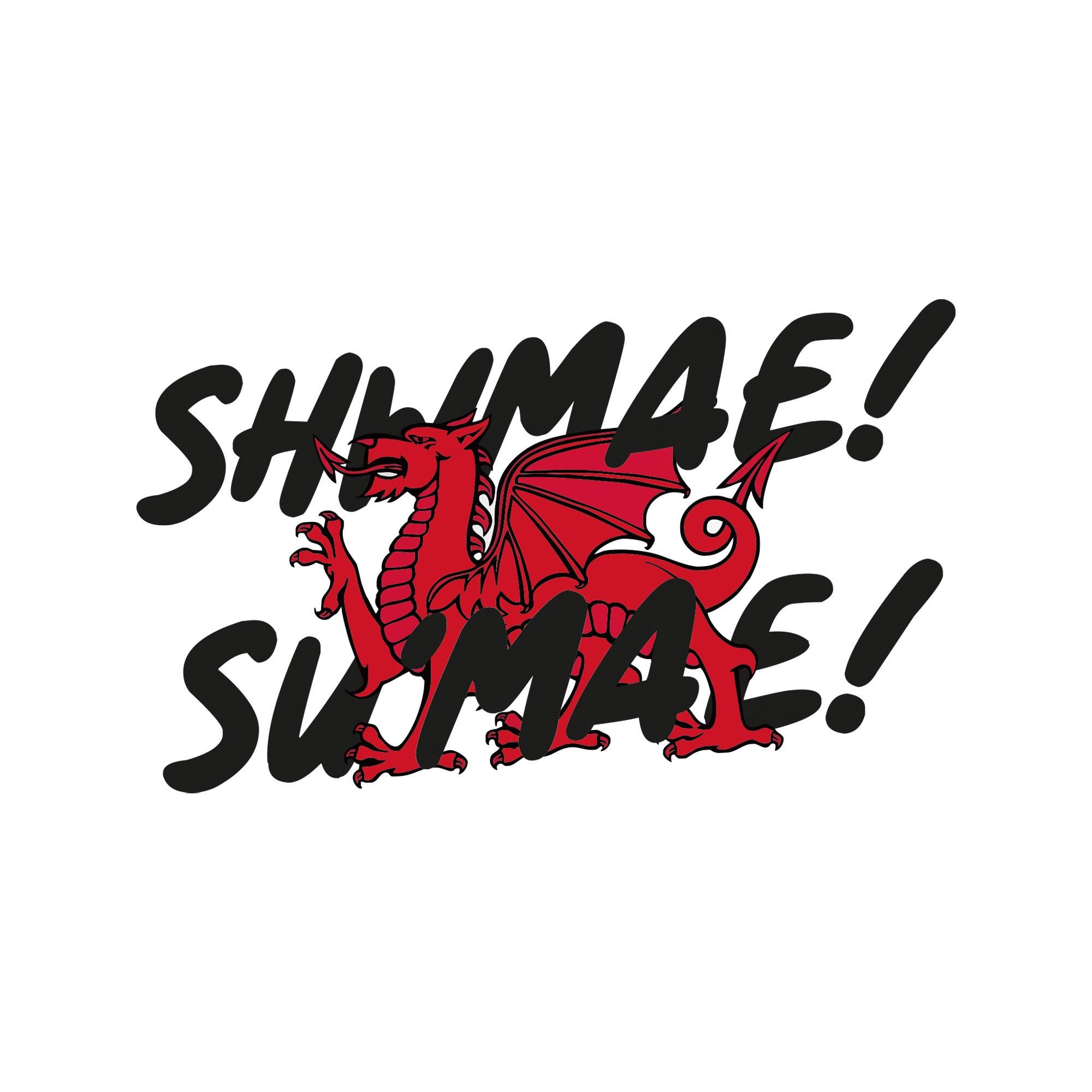 Shwmae Rocks Shwmae Posters