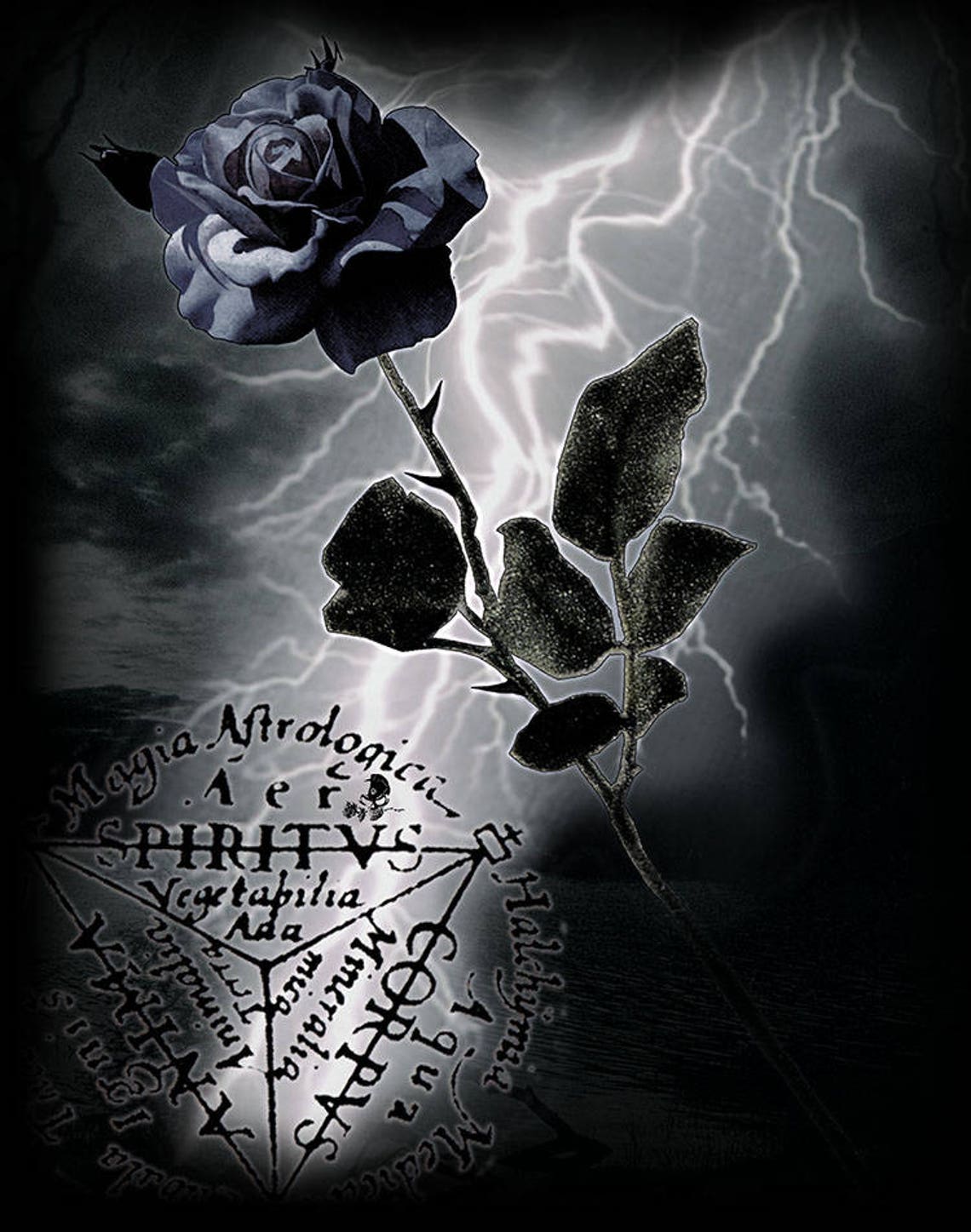 Black Rose Gift Card Etsy