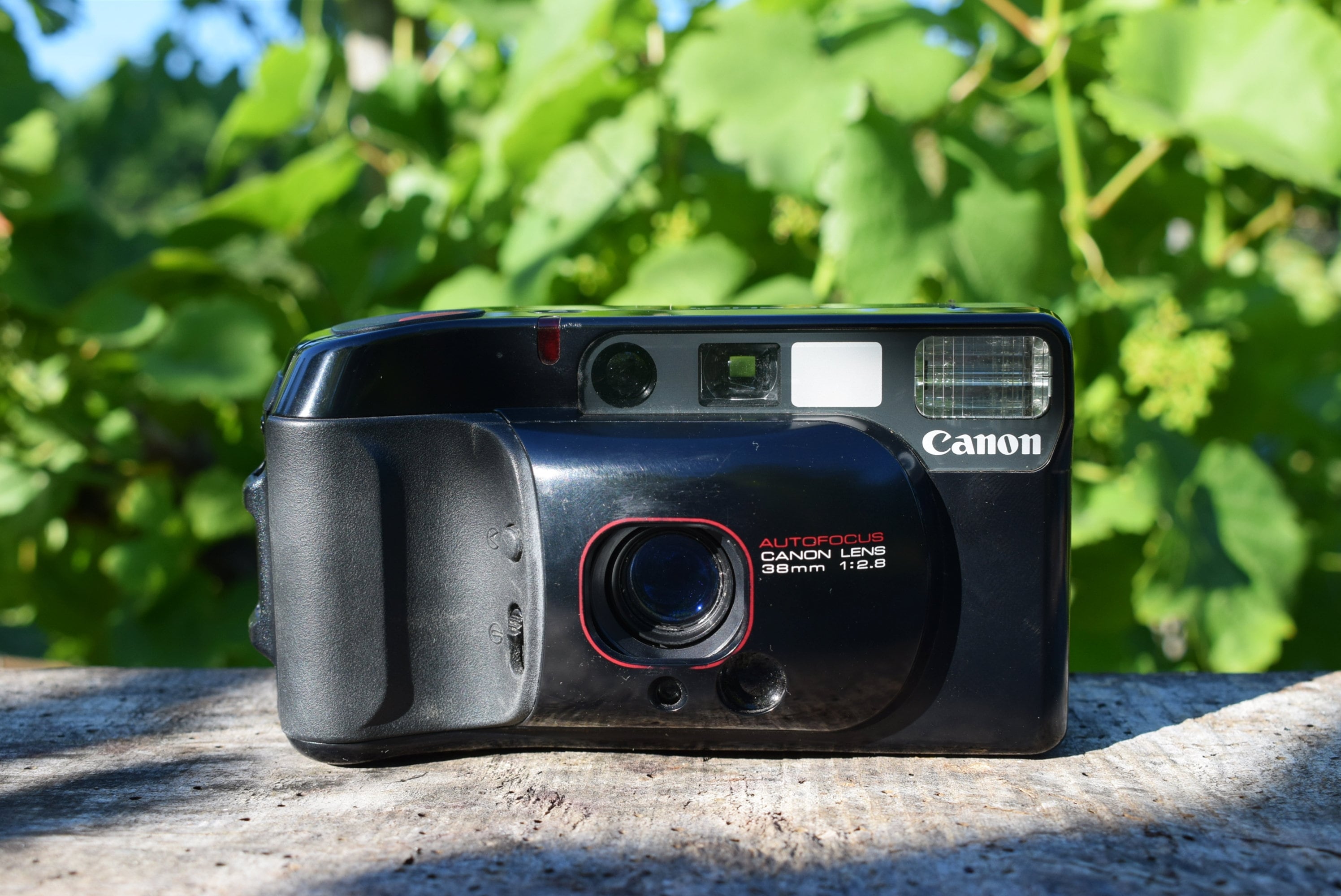 Vintage CANON Top Shot Film Camera / Autofocus / Canon Lens Etsy
