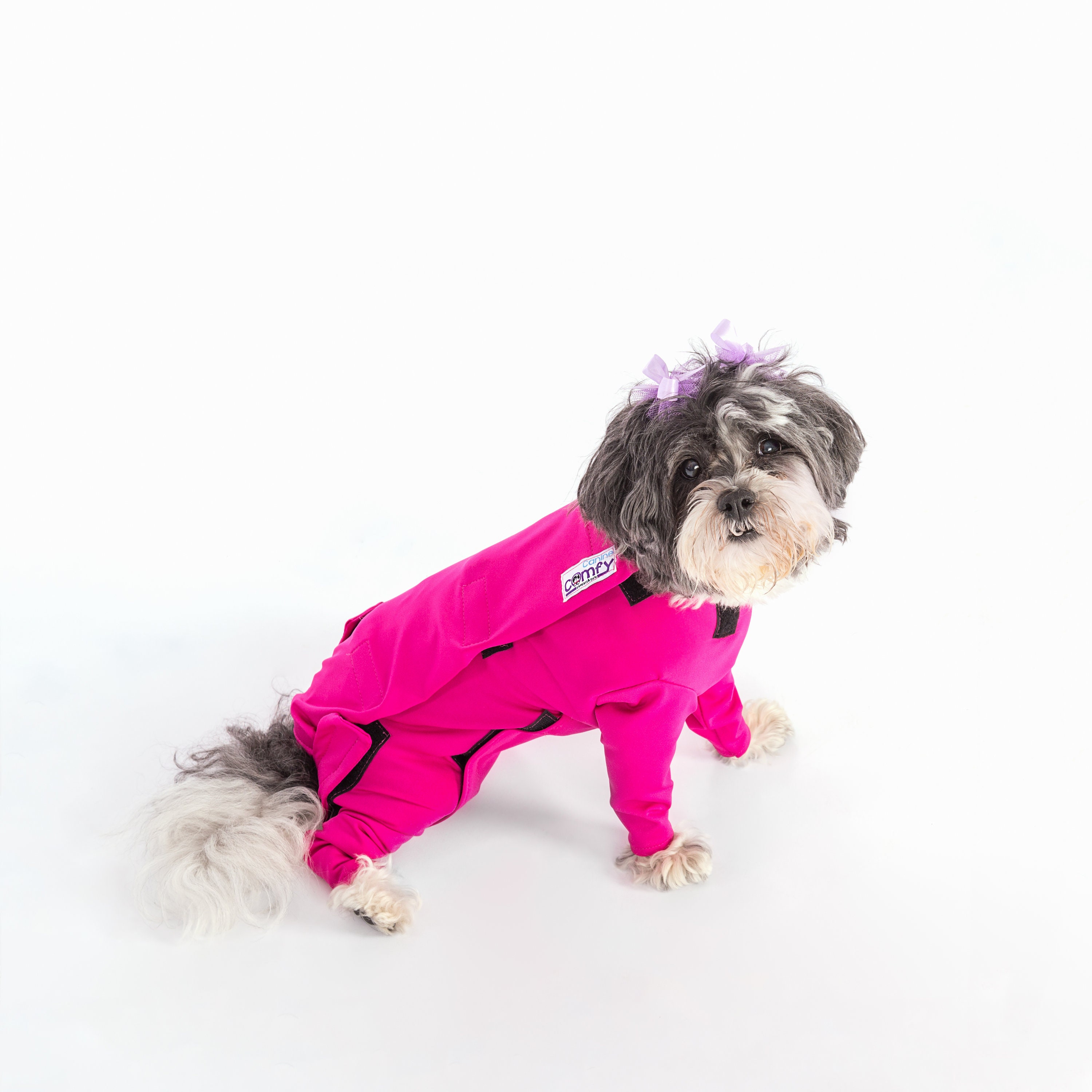 Canine Comfy Dog Suit Etsy