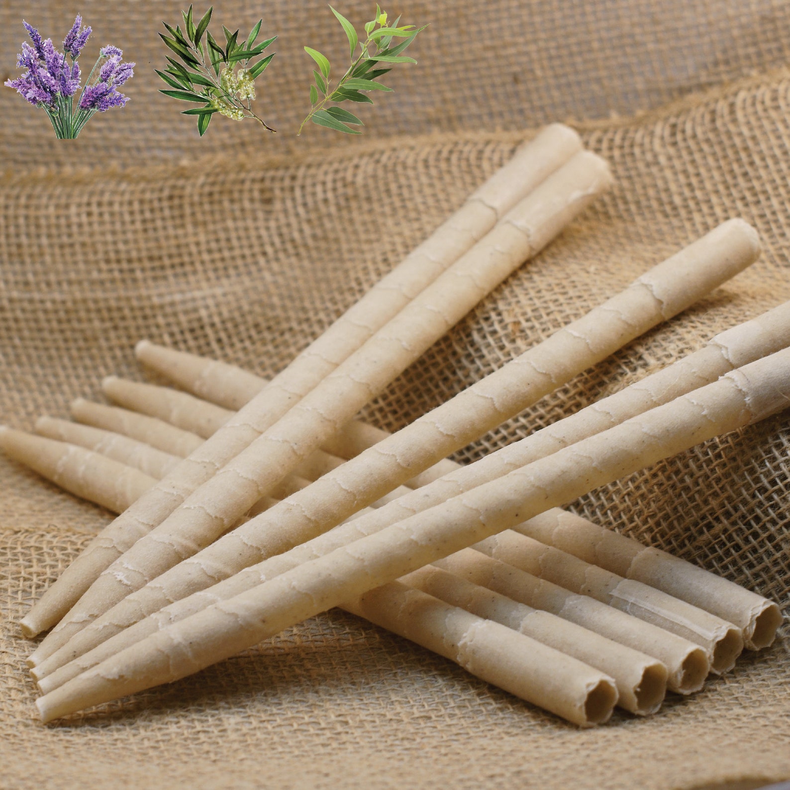 Herbal Ear Candles 10pk Infused W/lavender Eucalyptus & Tea Etsy