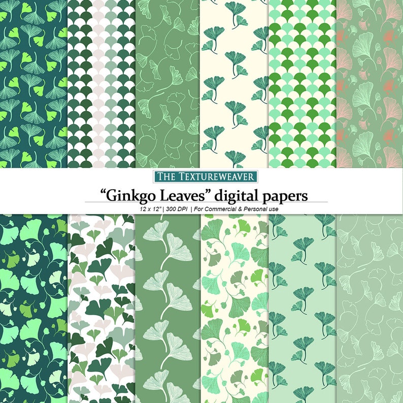 Ginkgo Leaves Digital Papers, Ginko Illustration,clam Shell Patterns