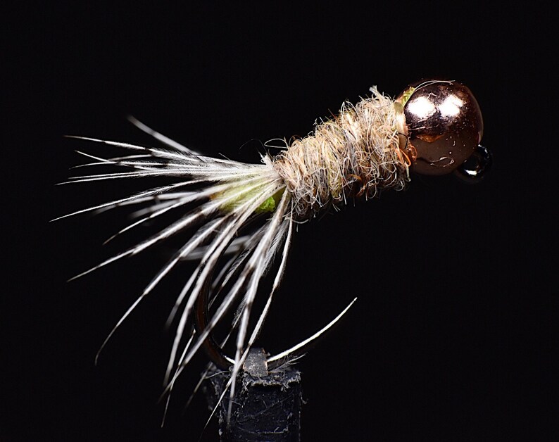 6 Peeping Caddis Nymph. Euro Nymphs. Fly Fishing Flies. Etsy