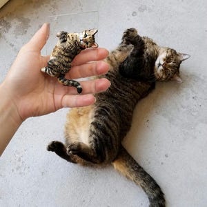 Könnte beinhalten: Eine kleine, dreidimensionale braun-schwarze getigerte Katzenfigur, die auf einer rechteckigen, durchsichtigen Acrylplatte befestigt ist. Die Figur zeigt eine Katze in liegender Position mit gedrehtem Kopf, die die Pose einer echten Katze nachahmt.