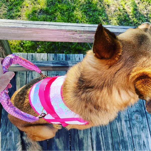 Custom Service Dog Vest Etsy