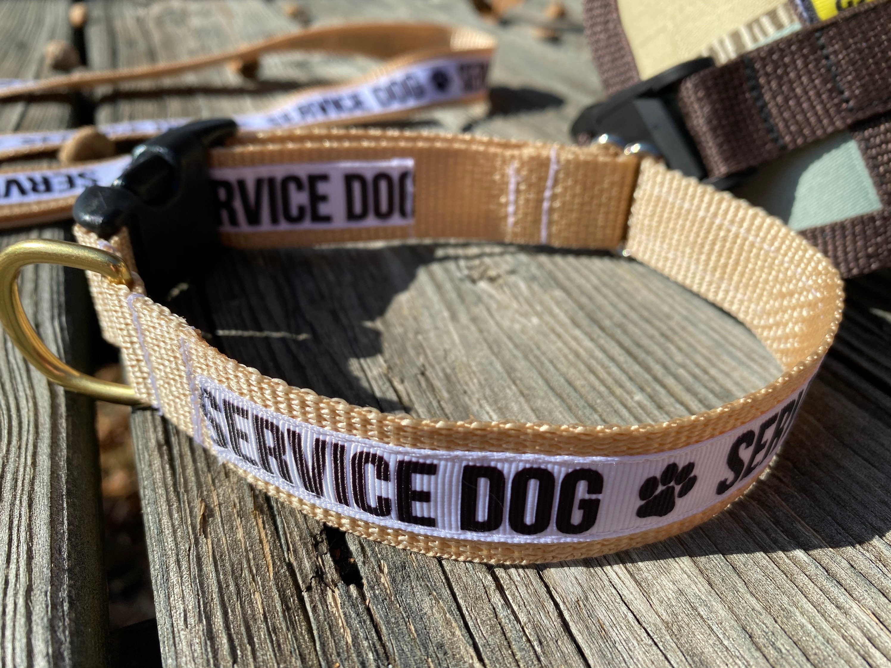 Service Dog HandsFree Leash & Collar Set Etsy