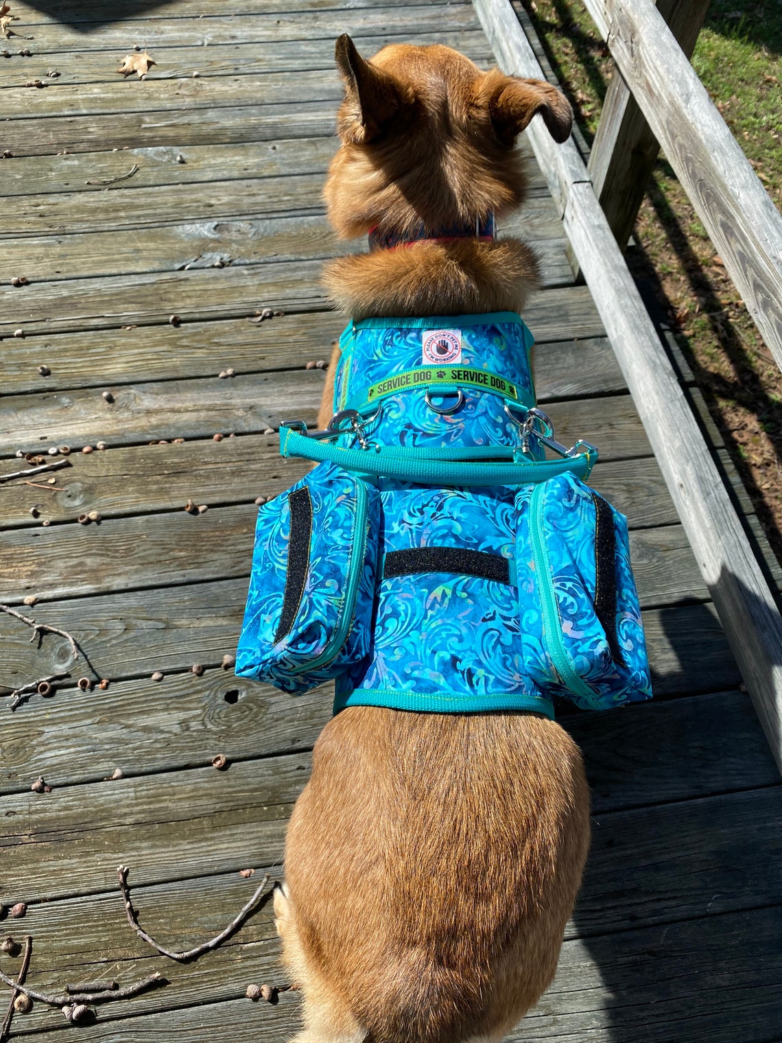 Service Dog saddle harness & saddle bags Etsy