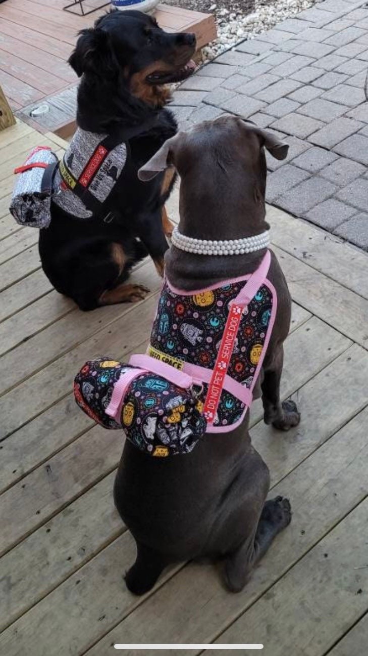 40+ Designs Service Dog Vest Pattern To Sew For Free MiryiamLale