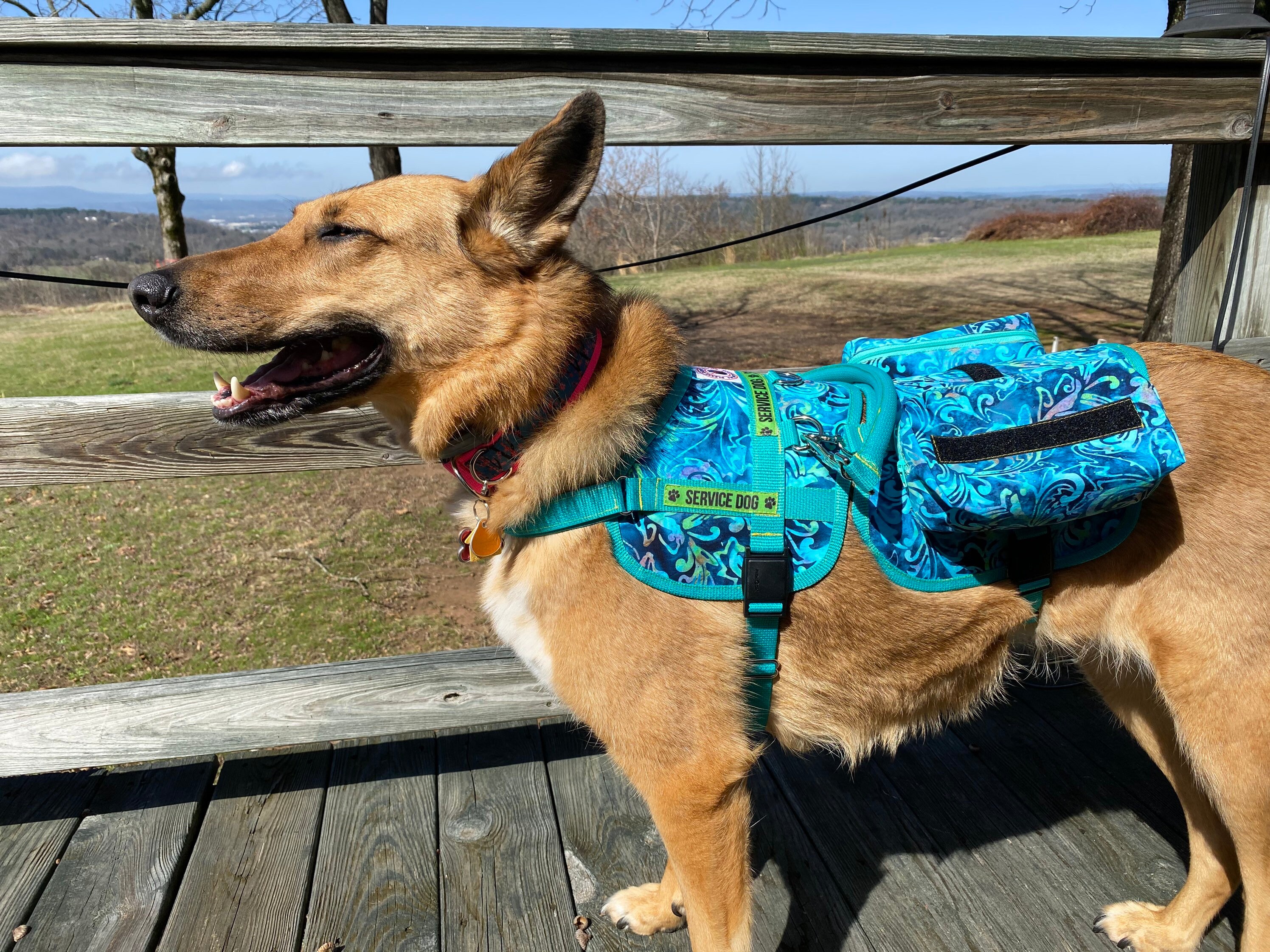 Service Dog Saddle Harness & Saddle Bags Etsy Canada