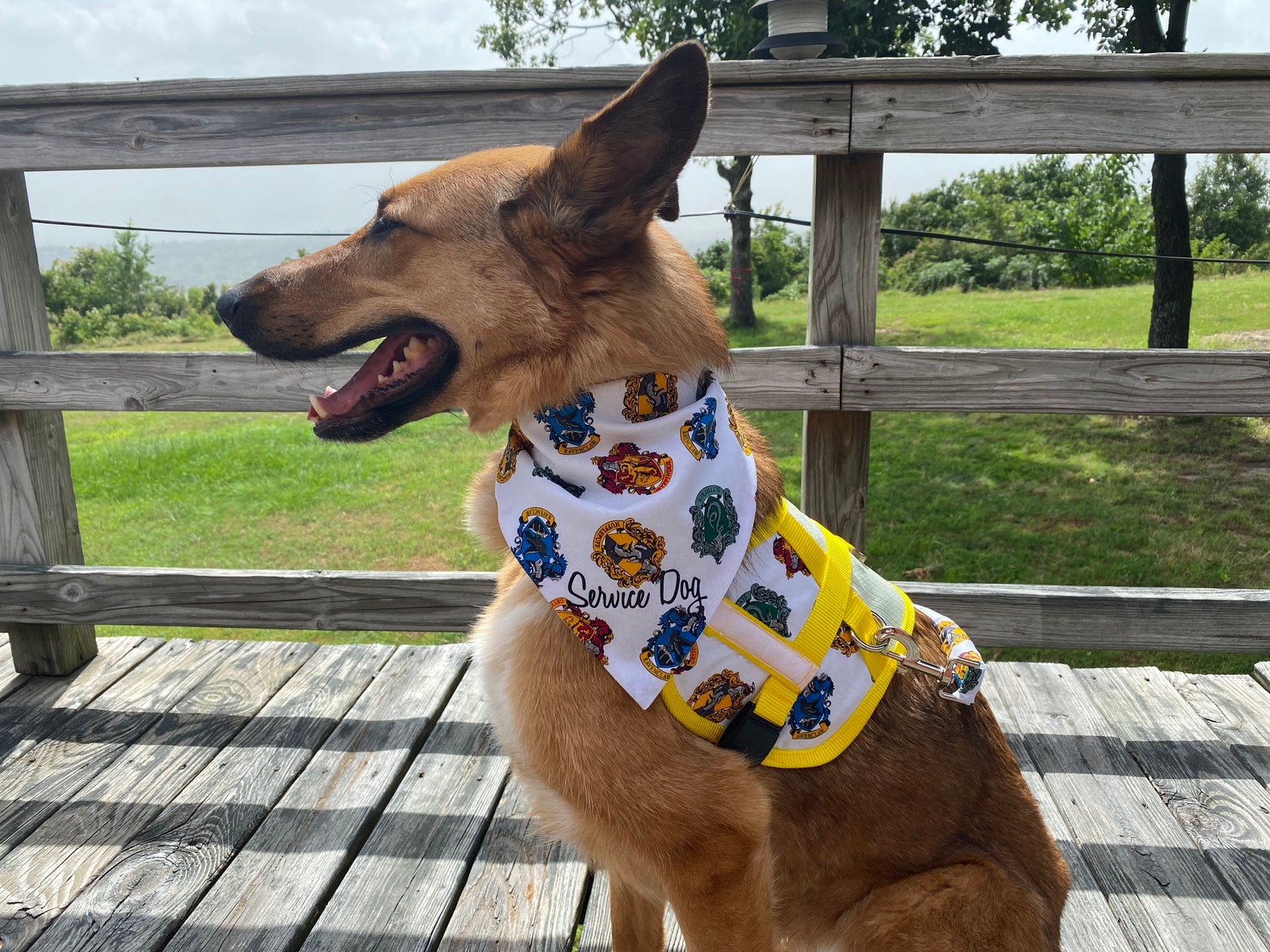 Service Dog Harry Potter Harness Etsy
