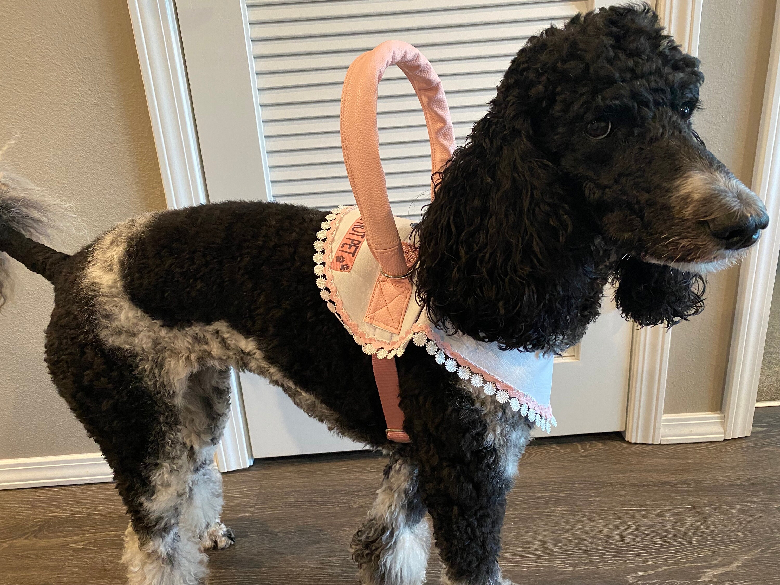 Service Dog Harness Mobility Etsy