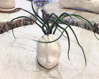 Babydoll vase w/ air plant
