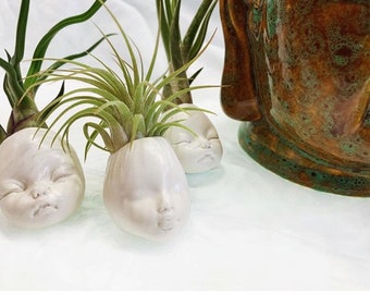 Baby Face mini vase w/o air plant