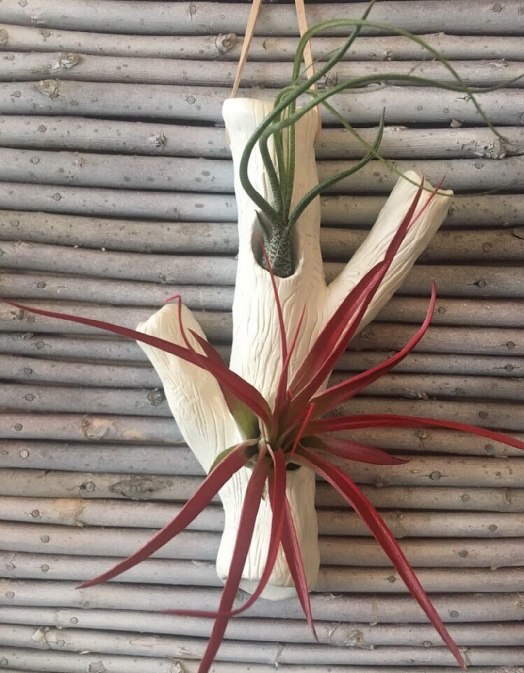Hanging Air Plant Vase W/o Air Plants Etsy