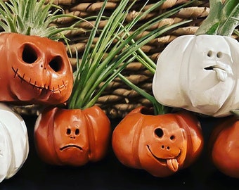 Jack-o’-Lantern pumpkin vase for air plant