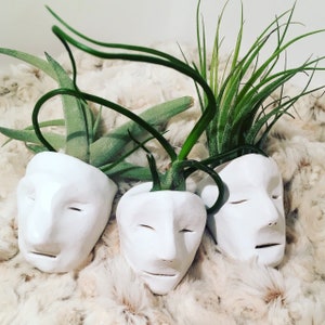 May include: Three white ceramic planters with unique face designs, each holding a green air plant. The planters are sitting on a fluffy white surface.