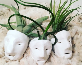 Set of Three Old Man Pot Heads w/o air plants