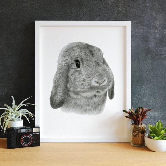 Lapin Nain Belier Gris Chinchilla Portrait Dessin Peinture Etsy Lapin Nain Belier Gris Chinchilla Portrait Dessin Peinture Etsy