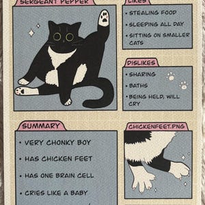 Sergeant Pepper&#39;s Dating Profile Art Print - Chonky Cat Print - 5&quot;X7&quot; Hand Drawn Illustration - Funny Cat Art Print - Cute Tuxedo Cat Print