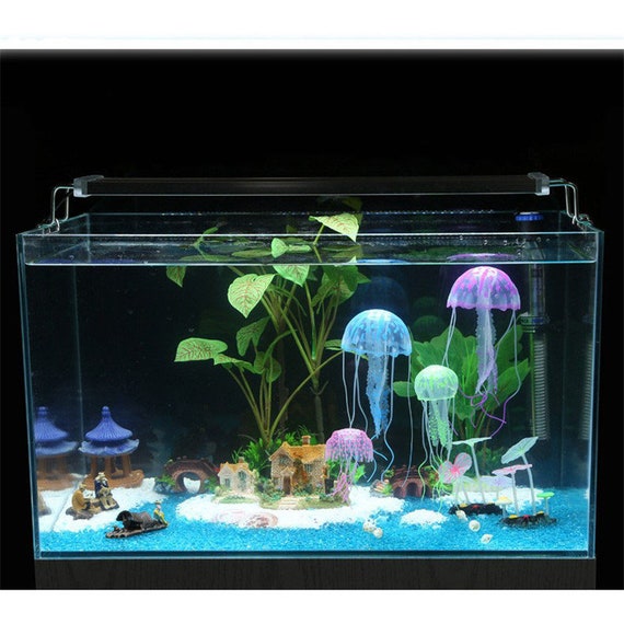 freshwater tank decorations