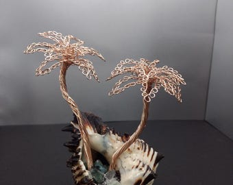 Palm trees in shell