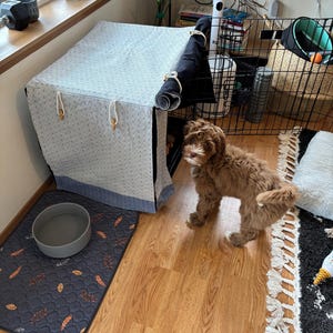 Puede incluir: Un cachorro marrón de pelo rizado está de pie junto a una jaula de alambre para perros cubierta por una tela blanca con un pequeño patrón azul. Un cuenco circular gris se asienta sobre una alfombrilla gris oscuro con estampado de hojas.
