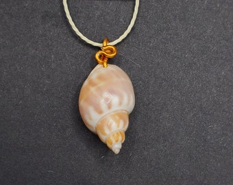 Shell Necklace Ocean Shell Pendant Natural Necklace for Men Gift for Women Seashell Jewelry Gift Idea for Beach Lover Unpolished Tan