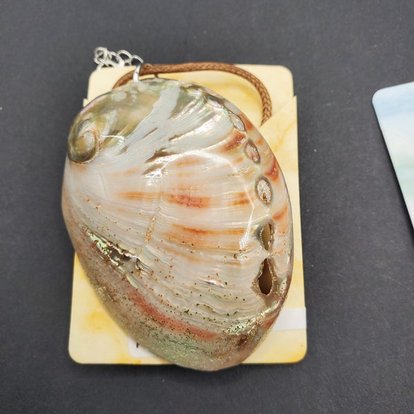 Ormer shell necklace Venus shell pendant for ocean animal necklace gift idea for wife marine life natural earth jewelry wire wrapped shell