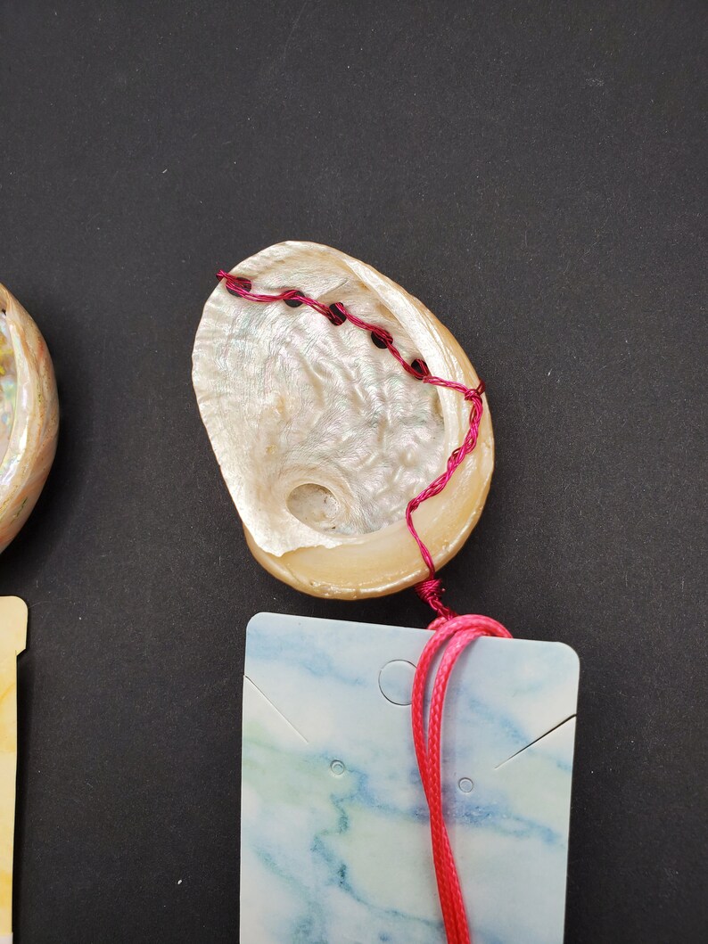 Ormer Shell Necklace Venus Shell Pendant for Ocean Animal Necklace Gift