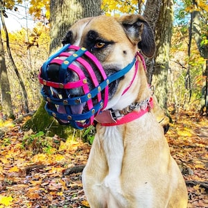 Leather Basket Dog Muzzle - Adjustable - Extra Small to Extra Large - Handmade -  Training - Level One