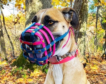 Leather Basket Dog Muzzle - Adjustable - Extra Small to Extra Large - Handmade -  Training - Level One