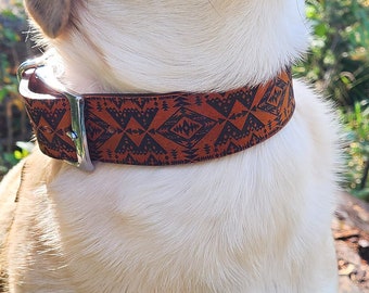 Pode incluir: Um cão de cor clara usando uma coleira estampada marrom e preta, em um ambiente florestal. O cão está olhando para cima. A coleira tem um design geométrico e uma fivela de metal prateado.