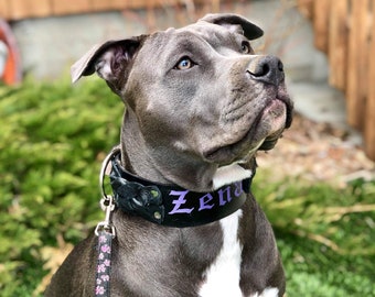 Braided Leather Dog Collar - Custom - Personalized - Handmade