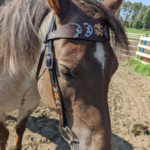 May include: A brown leather horse bridle with a decorative headband featuring moon phase designs. The bridle has black straps and silver hardware. The horse is light brown with a white blaze.