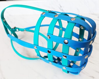 wolf dogs for sale florida