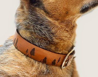 Tree Dog Collar - Custom Leather - Nature - Personalized - Minimalist