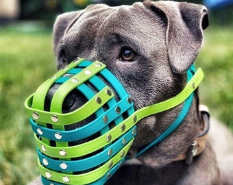 Biothane Basket Dog Muzzle - Adjustable - Extra straps - Extra Small to Extra Large - Handmade -  Training - Scavenging- Level three