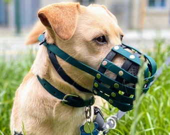 May include: A tan dog wearing a dark green muzzle and harness, standing in tall green grass. The muzzle is a cage-like design with rivets. The dog has a blue and white tag. The background is blurred, with a building visible.