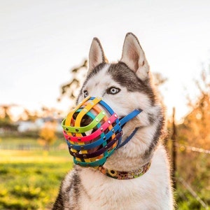 Biothane Rainbow Basket Dog Muzzle - Adjustable - More secure - Extra Small to Extra Large - Handmade -  Training - Level Two