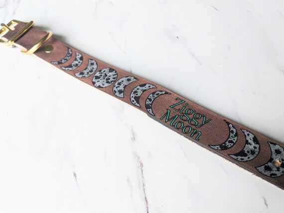 Moon collars top for dogs