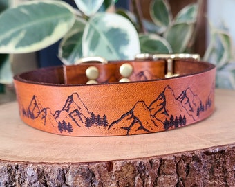 collier chien montagne