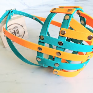 May include: A teal and orange leather dog muzzle with a cage-like design. The muzzle has riveted accents and adjustable straps. The brand name "KHAOS" is visible on a small tag.